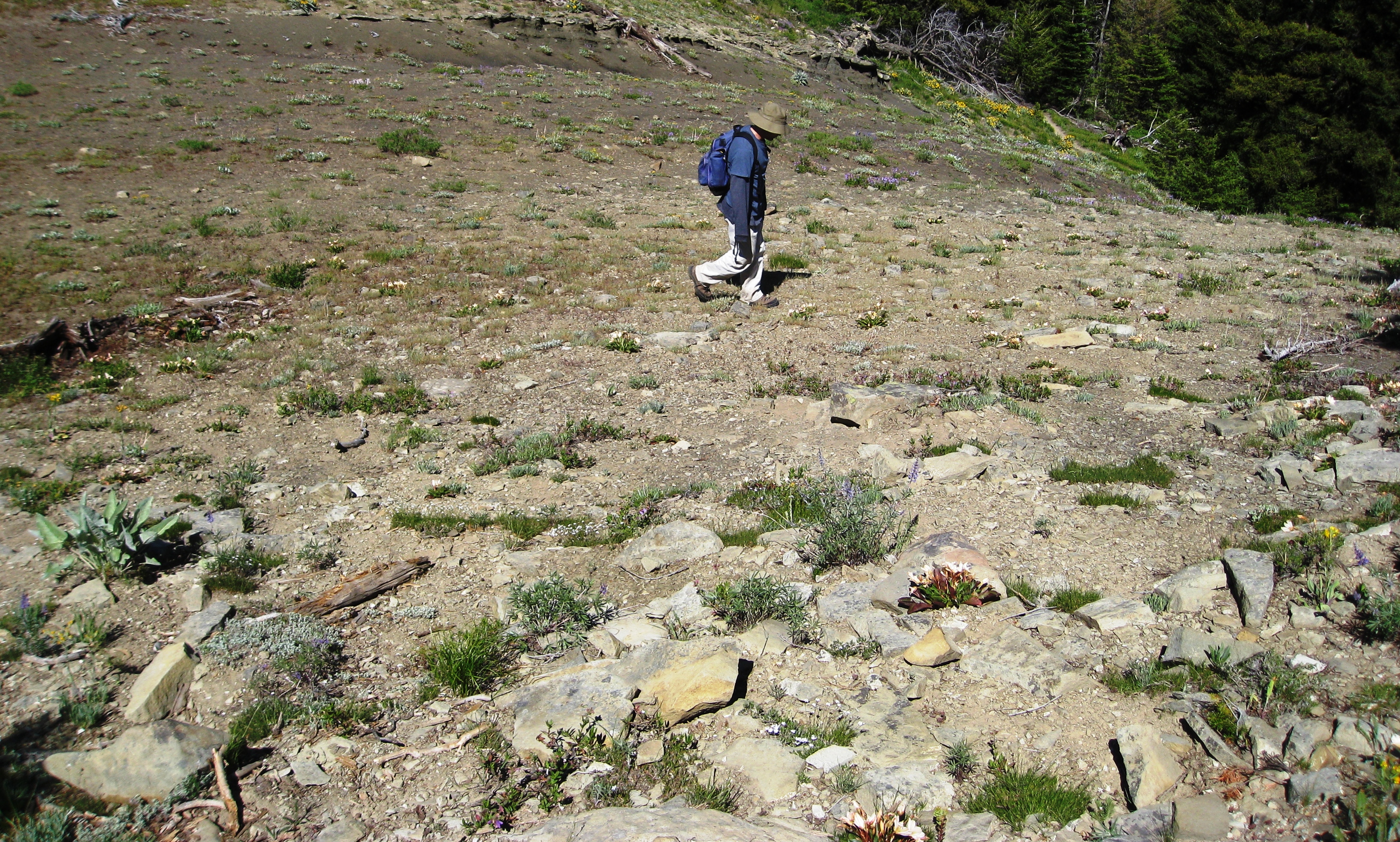 2. Exploring the Top 10 Companies Rated by TDR