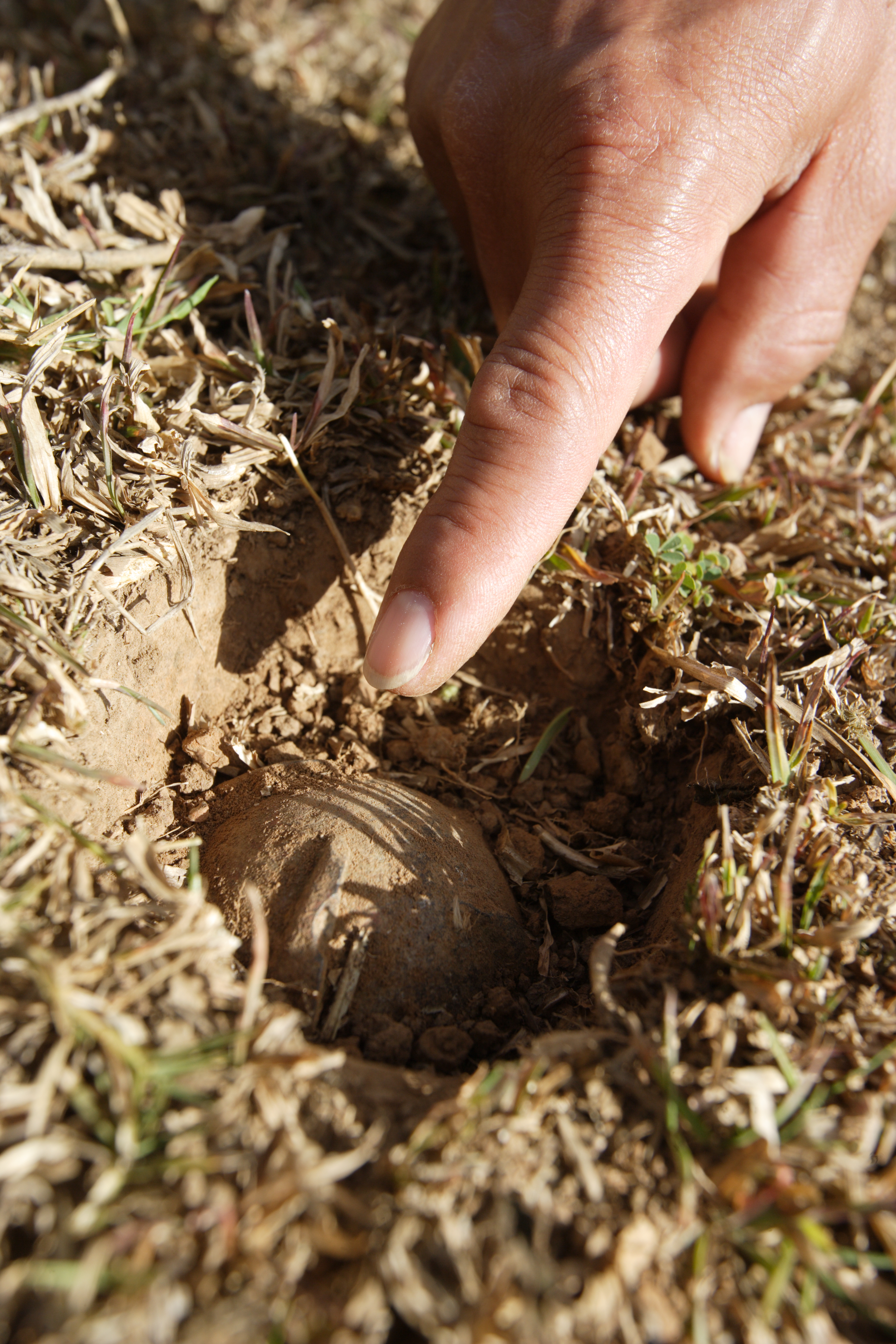 2. Unearthing the Tech Scene of the UAE